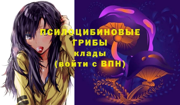 ECSTASY Пестово