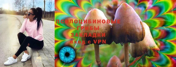 героин Пересвет