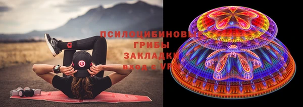 ECSTASY Пестово