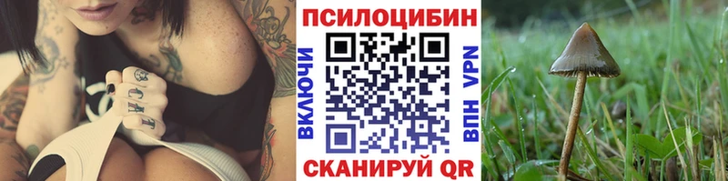 дарнет шоп  даркнет состав  Галлюциногенные грибы Cubensis  Порхов 